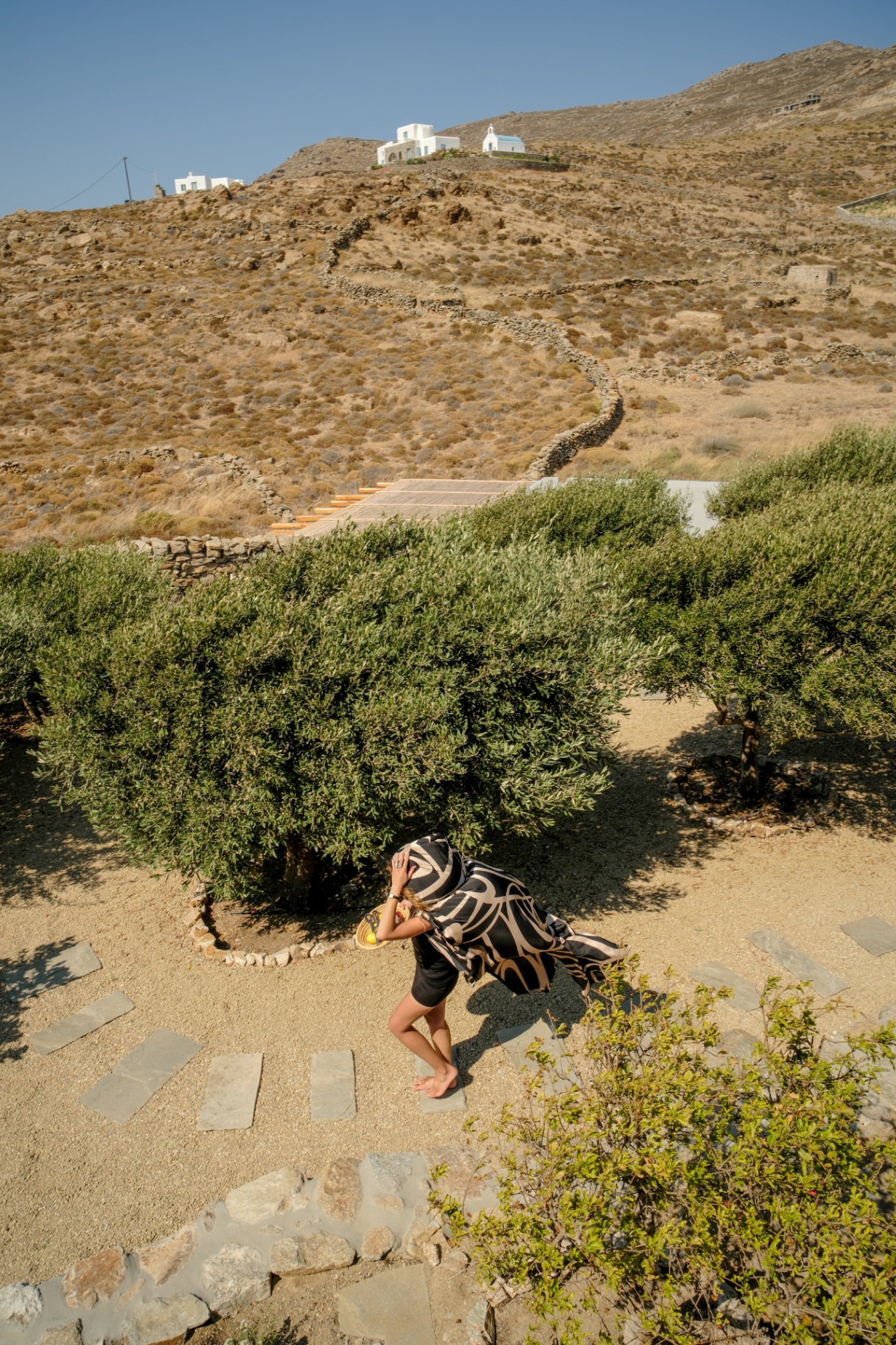 Olive garden path at Villa Storia